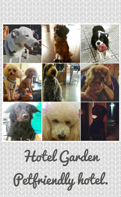 Hotel Garden เวียเรจโจ ภายนอก รูปภาพ